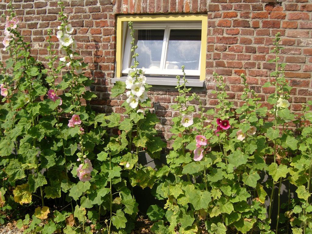 Bed&Breakfast Appeltern Exterior foto